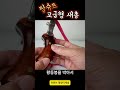 탑슈트 고급형 새총 / 레골라스 새총