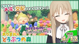 【あつ森🌲】めずらしいお花をつくろう～✨【にじさんじ/シスター・クレア】