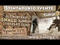 stintapūkis 2013 neringa