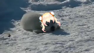 【Vtuber迷因】Introducing PAPA Seal【桃鈴ねね/MomosuzuNene】【memes】