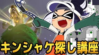 【スプラトゥーン2】イカしたアルバイターになる為のキンシャケ探し講座【ゆっくり実況】