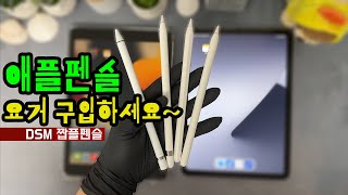 아이패드 애플펜슬이 싸다고? DSM 짭플펜슬 추천해요! 무선충전 기능은 덤으로... 😀