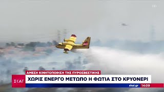 Πυρκαγιά στο Κρυονέρι: Καλύτερη η εικόνα, χωρίς ενεργό μέτωπο - Σε επιφυλακή η Πυροσβεστική