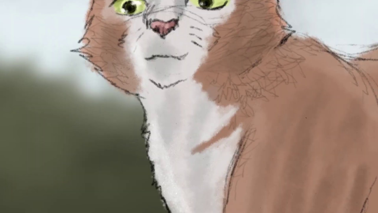 Warrior Cats At Speedpaint Youtube