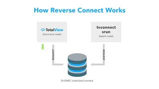 Reverse Connections