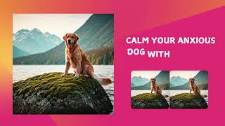 calm your anxious dog with relaxing nature scenes #dog #doglover #dogtvfordogstowatch #dogslover