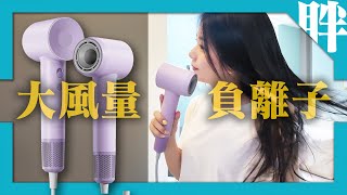 Laifen徠芬SE高速負離子吹風機開箱｜會是Dyson Supersonic的理想平替嗎？｜大風量、小體積、高顏值、低噪音｜劉胖胖