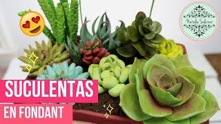 🥰Cómo hacer Suculentas en fondant 😍| Natalia Salazar