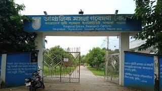 মাগুরা আঞ্চলিক মসলা গবেষণা কেন্দ্র মাগুরা