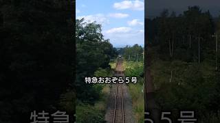 おおぞら５号ー十勝清水町#shorts #jr北海道 #鉄道 #train #キハ261系#十勝清水 #十勝