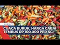 Gagal Panen Akibat Cuaca Buruk, Harga Cabai Meroket!