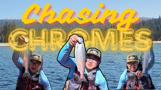 Chasing Chromes| Shaver Lake