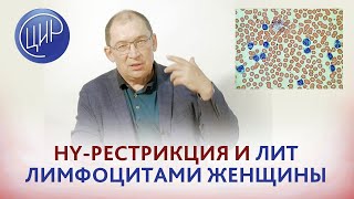 HY-рестрикция и лимфоцитоиммунотерапия лейкоцитами женщины, возможно ли это? Гузов И.И.