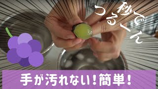 【秒でつるん！】ぶどうの皮を簡単に剥く方法