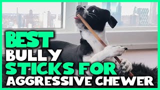 Top 5 Best Bully Sticks for Aggressive Chewer Review in 2023