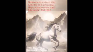 Türk oğlu - türkçe #şarkı #mahnı #reshadtahiroglu 