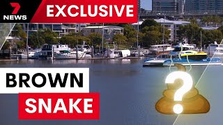 Fears human waste is being dumped in the Brisbane River | 7 News Australia