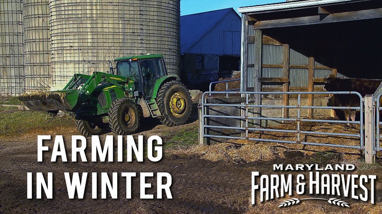 What Do Farmers Do In Winter? | Maryland Farm & Harvest - YouTube