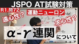 第58話「運動神経と感覚神経」について