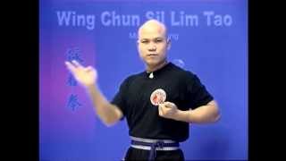 Wing Chun kung fu siu lim tao - form  applications Lessons 2-10