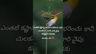 ఎంత కష్టమైనా భరించు కానీ 💔💔 #brokenlife #brokenheart #broken #sadlife #sadstatus #sad #trending #yt.