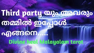 തേർഡ് പാർട്ടി യും അവരും തമ്മിലുള്ള ഇപ്പോഴത്തെ എനർജി ✨  pick a pile 🧿😇. malayalam tarotreading 💖