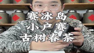 冰岛平替小户赛，圈内有赛冰岛美誉，原因何在？