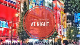 Anime Figure / Toy Hunt Episode 4: Akihabara At Night, A Treasure Trove For Otakus, Nerds, And Geeks