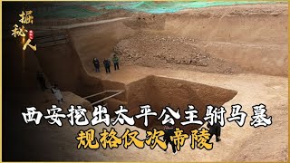 西安挖出千年古墓，太平公主駙馬墓規格僅次帝陵，棺槨打開后專家震驚 #古董 #開棺 #古墓 #考古發現 #考古