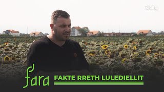 FARA – Kultivimi i lulediellit @teve1