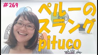 ペルーのスラング～pitucoってどういう意味？～☆スペイン語レッスン☆Lección 269