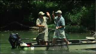 Wild SideTV-Collins River Muskie