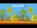 Wildfires || wildfires reasons