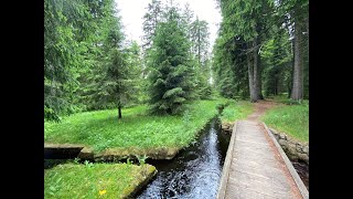 The trek to The Horní Blatná Water Channel / Trek k Blatenskému vodnímu příkopu (26. 06. 2021)