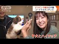 大谷翔平選手の愛犬・デコピンで注目！希少犬種「コーイケルホンディエ」の魅力とは？【ワイド！スクランブル】 2024年12月16日