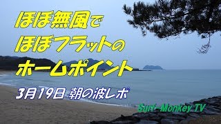 ほぼ無風でほぼフラットのホームポイント 190319 ~サーフモンキーTV