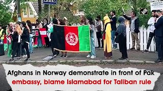 Afghans in Norway demonstrate in front of Pak embassy, blame Islamabad for Taliban rule
