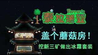 【泰拉瑞亚】 Terraria 06认识挖掘新三矿 制作冰霜套装，顺便做个蘑菇房 ——by【懒虾】