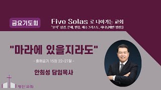 평안성결교회 2025년 2월 14일 금요예배