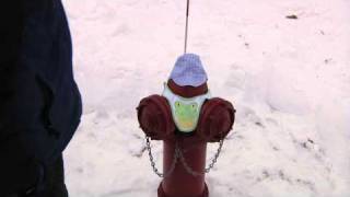 Adopt a Hydrant PSA