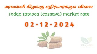 இன்றைய மரவள்ளி கிழங்கு விலை நிலவரம் | today tapioca point rate | 02.12.2024