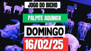 Palpit*para o dia 16/02/25 *JOG*DO BICH*de hoje*Palpit JB☆