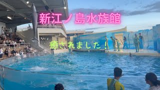 20240824新江ノ島水族館   4K