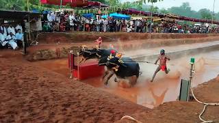 Ervailu panila vs bola final at kakkyapadau 2018