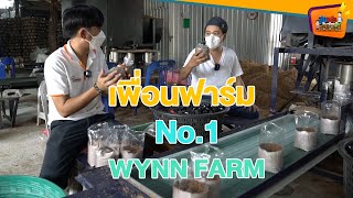 WynnFarm อยากปลูกเห็ด จึงมาหาความรู้จากเพื่อนฟาร์ม No.1- สูงเตี้ยเรี่ยดิน EP.90 (3/3)