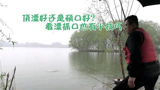 钓鱼时顶漂好还是顿口好？要想钓的多，看漂抓口也有小技巧！