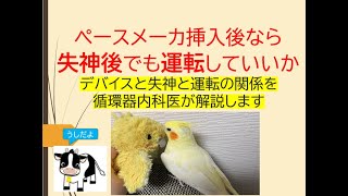 ペースメーカ挿入後なら失神後でも運転していいか(失神と運転の関係を循環器内科医が解説します)