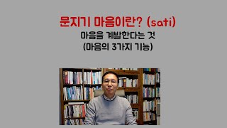 문지기 마음이란?(마음을 계발한다는 뜻) sati