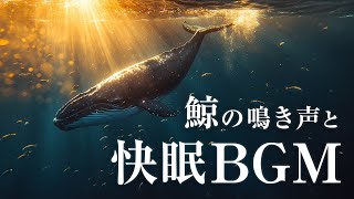 【睡眠用・作業用BGM】リラックスできるクジラの鳴き声とアンビエントミュージック - 静かな音楽 asmr