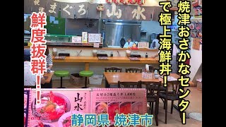 【静岡県焼津市】まぐろ 海鮮丼  山水  極み海鮮丼！